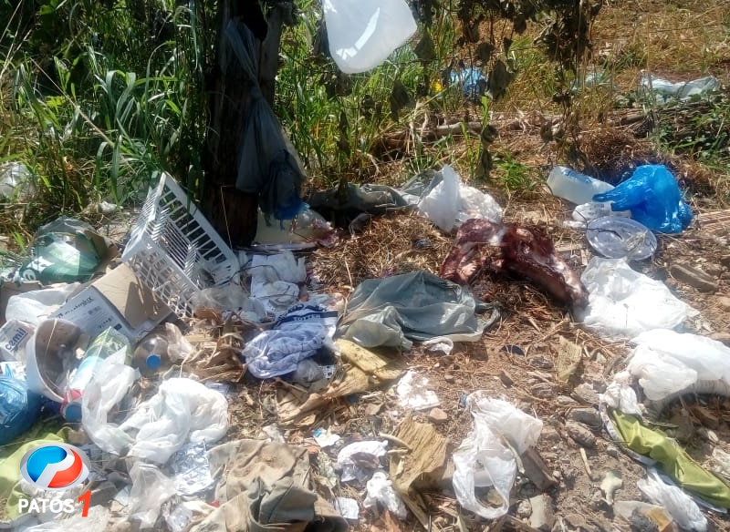 Falta de educação: moradores jogam lixo e carcaças de animais em passeios de lotes em Lagoa Formosa