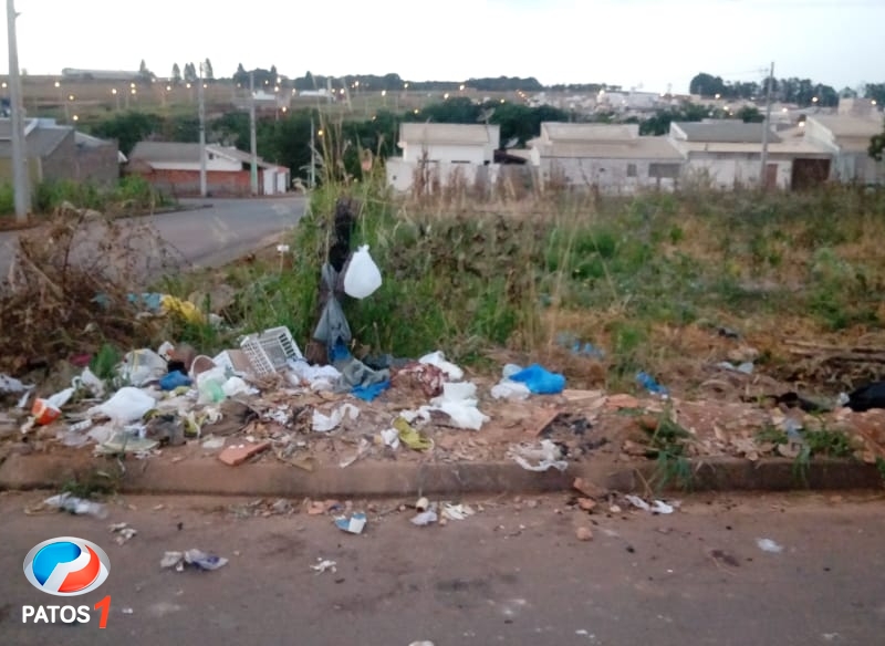 Falta de educação: moradores jogam lixo e carcaças de animais em passeios de lotes em Lagoa Formosa
