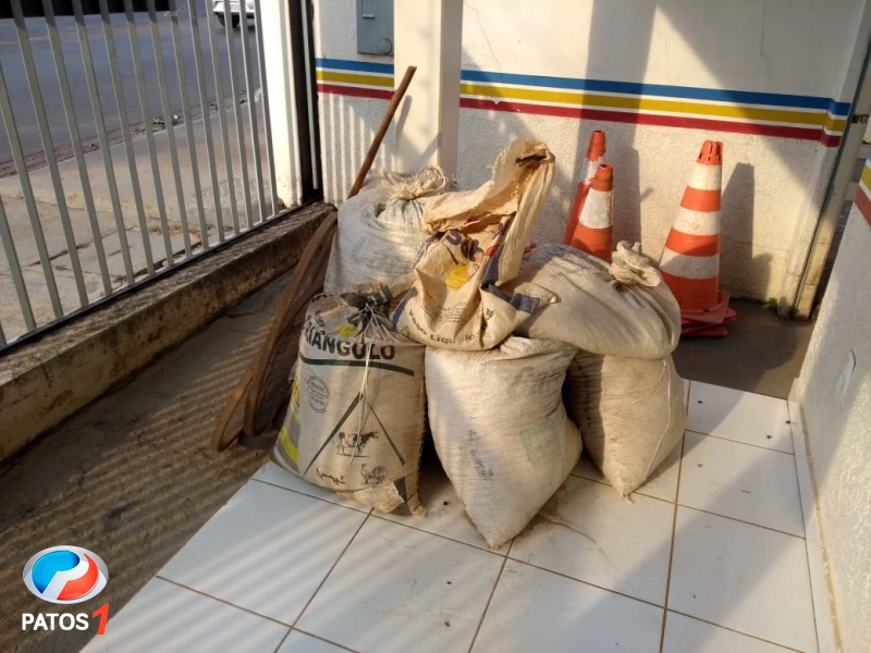 clique para ampliar Homem é flagrado furtando café em fazenda no município de Carmo do Paranaíba e acaba preso