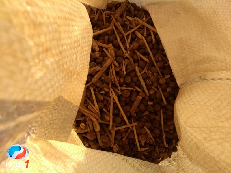 clique para ampliar Homem é flagrado furtando café em fazenda no município de Carmo do Paranaíba e acaba preso