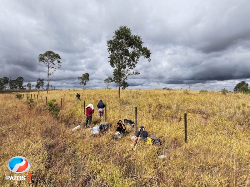 clique para ampliar Drone da PRF flagra pessoas saqueando café após capotamento de carreta na BR-262