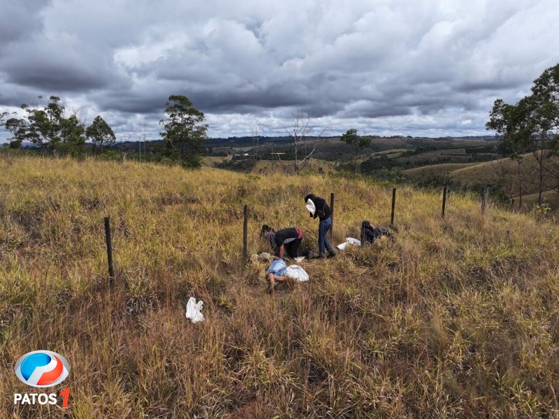 clique para ampliar Drone da PRF flagra pessoas saqueando café após capotamento de carreta na BR-262