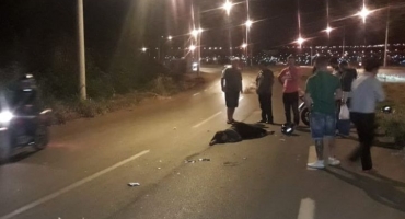 Motociclista fica ferido após atingir cavalo na cidade de Patos de Minas Motociclista fica ferido após atingir cavalo na cidade de Patos de Minas
