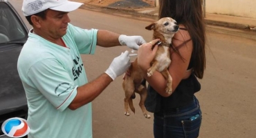 Campanha de vacinação contra raiva em cães e gatos acontece até o dia 13 de agosto em Lagoa Formosa Campanha de vacinação contra raiva em cães e gatos acontece até o dia 13 de agosto em Lagoa Formosa