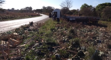 Caminhão carregado com repolho tomba na BR-354 próximo à ponte do córrego São Bartolomeu Caminhão carregado com repolho tomba na BR-354 próximo à ponte do córrego São Bartolomeu