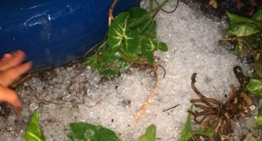 Tempestade com vendaval e granizo causa estragos em Carmo do Paranaíba Tempestade com vendaval e granizo causa estragos em Carmo do Paranaíba