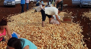 Empresário de Lagoa Formosa abandona toneladas de cebola ás margens de estrada devido ao baixo preço do produto Empresário de Lagoa Formosa abandona toneladas de cebola ás margens de estrada devido ao baixo preço do produto