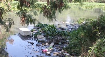 Segundo ambientalista poluição contribui para proliferação de aguapés no Rio Paranaíba em Patos de Minas Segundo ambientalista poluição contribui para proliferação de aguapés no Rio Paranaíba em Patos de Minas