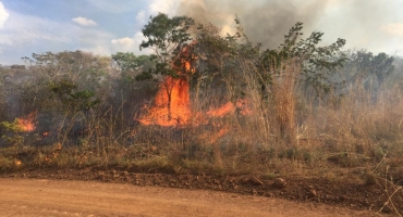 Queimada devasta reserva ambiental no município de Presidente Olegário Queimada devasta reserva ambiental no município de Presidente Olegário