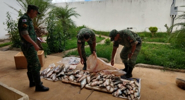PM realiza apreensão de aproximadamente 100 quilos de peixes oriundos do Rio da Prata PM realiza apreensão de aproximadamente 100 quilos de peixes oriundos do Rio da Prata