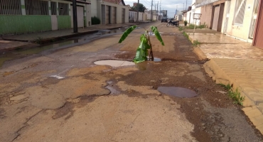 Moradores do Bairro Amazonas em Carmo do Paranaíba plantam bananeira em rua cheia de buracos Moradores do Bairro Amazonas em Carmo do Paranaíba plantam bananeira em rua cheia de buracos