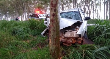 Veículo com motorista embriagado e portador de necessidade especial sai pista e atinge eucalipto Veículo com motorista embriagado e portador de necessidade especial sai pista e atinge eucalipto