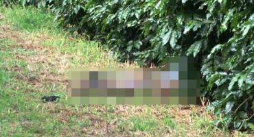 Corpo é encontrado em avançado estado de decomposição no meio de cafezal Corpo é encontrado em avançado estado de decomposição no meio de cafezal
