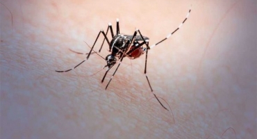 Cidade de São Gotardo confirma primeira morte por Dengue no município