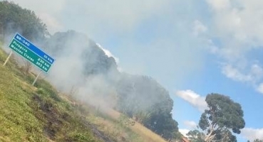 Dupla é detida por atear fogo em pastagem e mudar sentido de trânsito em rodovia