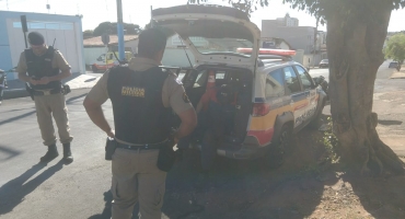 Homem é preso após mostrar o pênis para vendedora no Bairro Planalto