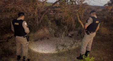 Indivíduos descartam carcaças de animais em terreno particular e proprietário aciona a Polícia Militar Indivíduos descartam carcaças de animais em terreno particular e proprietário aciona a Polícia Militar