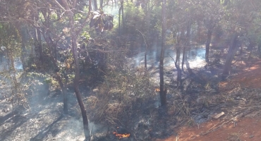 Incêndio criminoso destrói parte da reserva do Parque do Taboão em Carmo do Paranaíba Incêndio criminoso destrói parte da reserva do Parque do Taboão em Carmo do Paranaíba