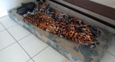 Após festa de aniversário criança de 5 anos é encontrada dormindo sozinha no local do evento Após festa de aniversário criança de 5 anos é encontrada dormindo sozinha no local do evento