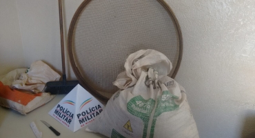  Homem é levado para a delegacia após ser flagrado “catando” café em lavoura no município de Carmo do Paranaíba
