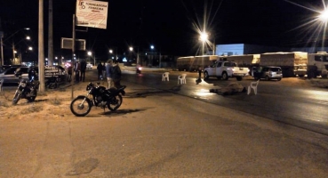 Animal morre após ser atropelado por caminhonete na cidade de Patos de Minas Animal morre após ser atropelado por caminhonete na cidade de Patos de Minas