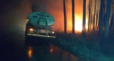 Incêndio às margens da AMG-410 em Carmo do Paranaíba compromete eucaliptos e causa riscos aos motoristas Incêndio às margens da AMG-410 em Carmo do Paranaíba compromete eucaliptos e causa riscos aos motoristas