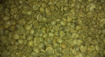Novamente café: suspeitos de cometer furto de sacos de café em Carmo do Paranaíba são presos Novamente café: suspeitos de cometer furto de sacos de café em Carmo do Paranaíba são presos