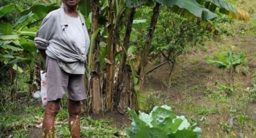 Campo está mais feminino e mais velho, diz IBGE Campo está mais feminino e mais velho, diz IBGE