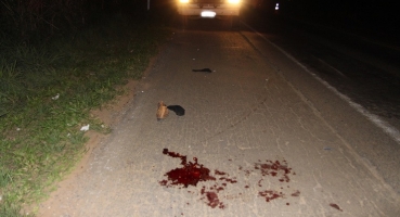 Motorista atropelado ao descer do veículo na MGC-354 em Presidente Olegário morre no hospital