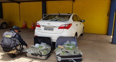 PRF de Patos de Minas aborda e prende jovem que transportava 50 kg de flor de maconha na BR-365