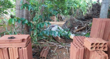 Homem é assassinado em Alagoas, Distrito de Patos de Minas, e corpo é encontrado com faca cravada na cabeça