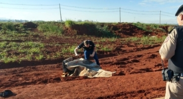 Número de mortes violentas aumenta em Patos de Minas, mas apuração está acima da média nacional Número de mortes violentas aumenta em Patos de Minas, mas apuração está acima da média nacional