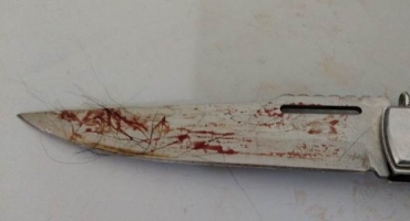 Rapaz desfere golpe de canivete em cachorro de vizinho em Patos de Minas