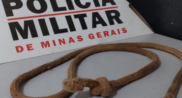 Casal é preso após espancar os filhos de sete e cinco anos na zona rural de Patos de Minas