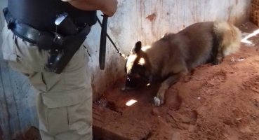 Um dia após sair do presídio rapaz monta ponto de tráfico de drogas em Carmo do Paranaíba