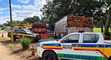 PRF de Patos de Minas aborda caminhões transportando madeira nativa sem comprovação de origem