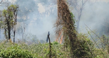Mata do Catingueiro novamente é atingida por incêndio criminoso e Corpo de Bombeiros combate as chamas