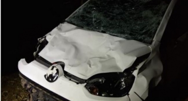 Motorista atropela animal na BR-354  próximo a Patos de Minas e proprietário de bovino vai parar na delegacia