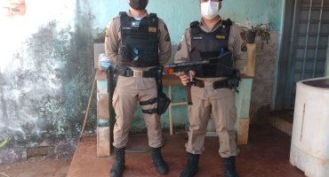  Casal é flagrado com arma de fabricação americana e pés e maconha em Patos de Minas