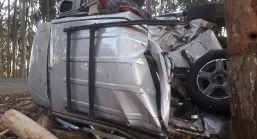 Motorista embriagado colide veículo contra eucalipto na rodovia AMG-410 em Carmo do Paranaíba