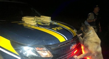 Patos de Minas: PRF apreende 9 Kg de maconha na BR-365 e encaminha suspeito de tráfico para a delegacia