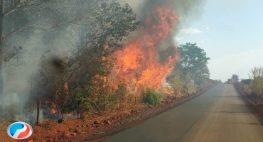 Setembro registra 75% de aumento no numero de incêndios florestais em relação ao mesmo mês do ano passado Setembro registra 75% de aumento no numero de incêndios florestais em relação ao mesmo mês do ano passado