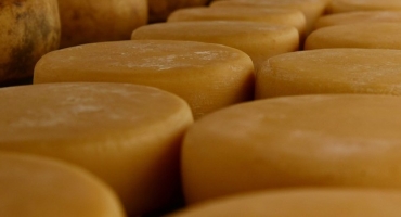 Governador anuncia medidas de fortalecimento da produção de queijo artesanal em Minas Gerais Governador anuncia medidas de fortalecimento da produção de queijo artesanal em Minas Gerais