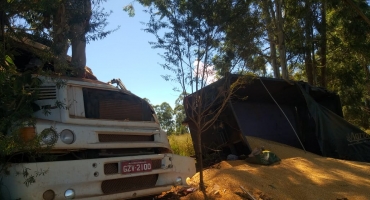 Motorista perde controle direcional e bate em árvore no munícipio de Tiros