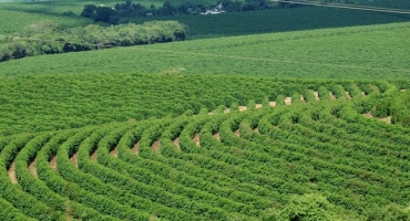 Receita de exportações do agro mineiro cresce 15% no primeiro trimestre