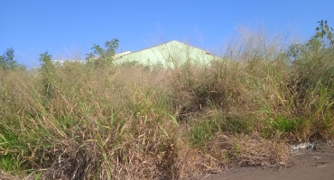 Moradores de Lagoa Formosa reclamam de sujeira em lotes vagos e terrenos baldios Moradores de Lagoa Formosa reclamam de sujeira em lotes vagos e terrenos baldios