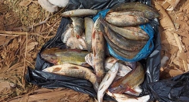 Homens são detidos praticando pesca proibida em represa de propriedade particular em Carmo do Paranaíba 