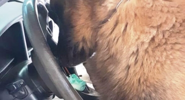 PM encontra droga escondida em volante de automóvel na cidade de Patos de Minas PM encontra droga escondida em volante de automóvel na cidade de Patos de Minas