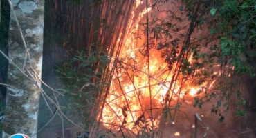 Em sete meses, Minas Gerais tem o maior número de incêndios em 11 anos Em sete meses, Minas Gerais tem o maior número de incêndios em 11 anos
