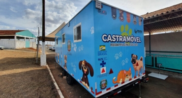 Carmo do Paranaíba: programa de controle populacional de cães e gatos realiza trabalho de castração na cidade Carmo do Paranaíba: programa de controle populacional de cães e gatos realiza trabalho de castração na cidade